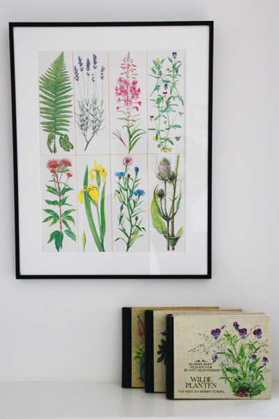 botanische prints