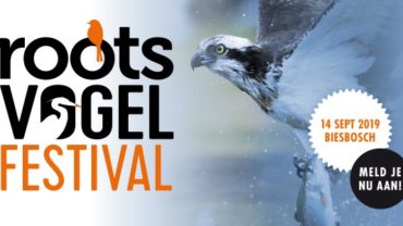 Roots organiseert Vogelfestival in de Biesbosch