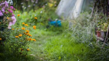 Dit zijn de kosten voor het aanleggen van een tuin