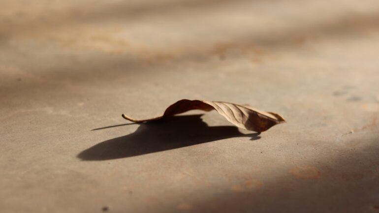 Het onverwachte einde van Charlie Kirk: een blik op zijn leven en nalatenschap