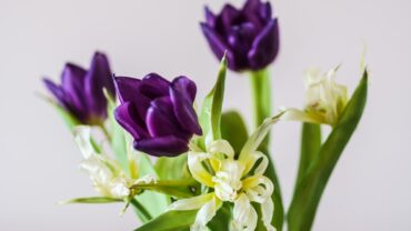 Een leven vol politiek: Hans Wiegel overleden