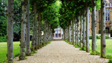 Ontdek de mooiste tuinen van landgoederen om in te wandelen