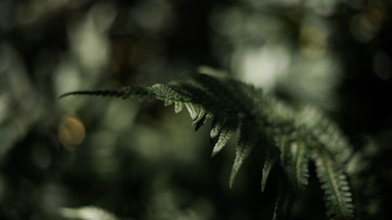 Kruiden planten geeft plezier én verse smaak uit eigen tuin