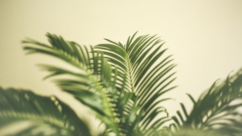 Glansmispel snoeien voor een gezonde en mooie tuin