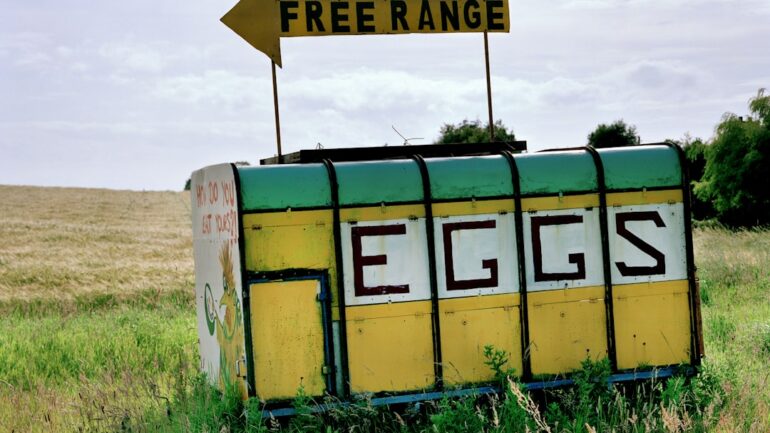 Woordjes gratis leren met wrts en overig handige hulpmiddelen