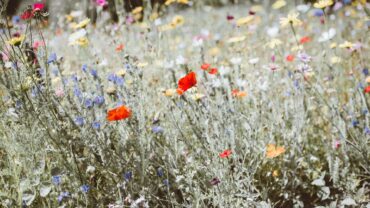 Sfeervolle bloemen op het graf: troost, herinnering en symboliek