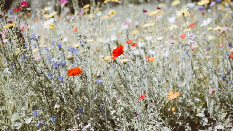 Sfeervolle bloemen op het graf: troost, herinnering en symboliek