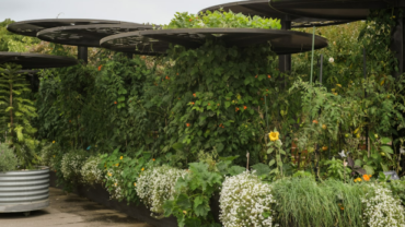 Een nieuwe tuin bij je nieuwbouwhuis in Amstelveen: waar begin je?