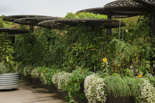 Een nieuwe tuin bij je nieuwbouwhuis in Amstelveen: waar begin je?