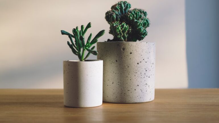Hangplanten: groen dat omhoog klimt en naar beneden golft