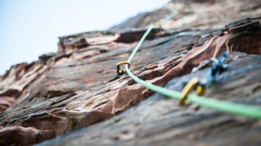 Klimplanten: groene sfeer van de grond tot het dak