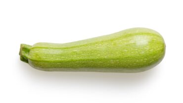 Courgette zaaien: zo doe je het stap voor stap