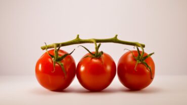 Tomaten zaaien: zo doe je het stap voor stap