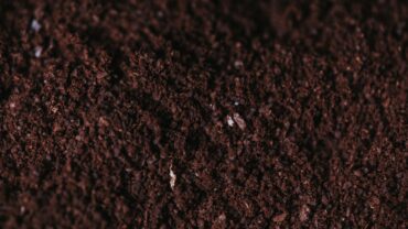 Moestuin potgrond: dit is de beste keuze voor je groenten