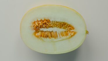 Vetplant stekken: zo doe je het stap voor stap