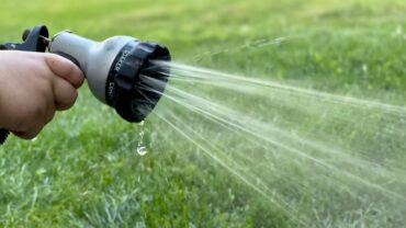 Stekken in water: zo doe je het stap voor stap
