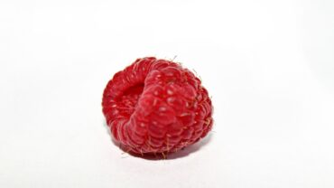 Framboos snoeien: wanneer en hoe doe je het goed?