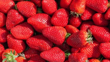 Aardbeien zaaien: zo doe je het stap voor stap