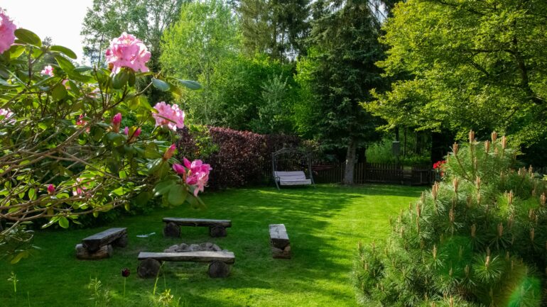 Zo maak je van jouw tuin een plek waar tuinvogels graag terugkomen
