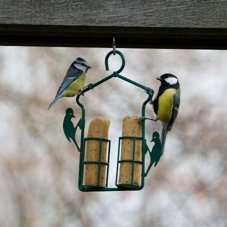 Zo maak je van jouw tuin een plek waar tuinvogels graag terugkomen
