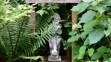 <span class="c8">Je tuin opnieuw inrichten: waar begin je?</span>