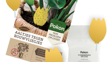 <span class="c3">Aaltjes als bestrijders van insecten en larven in de tuin</span>