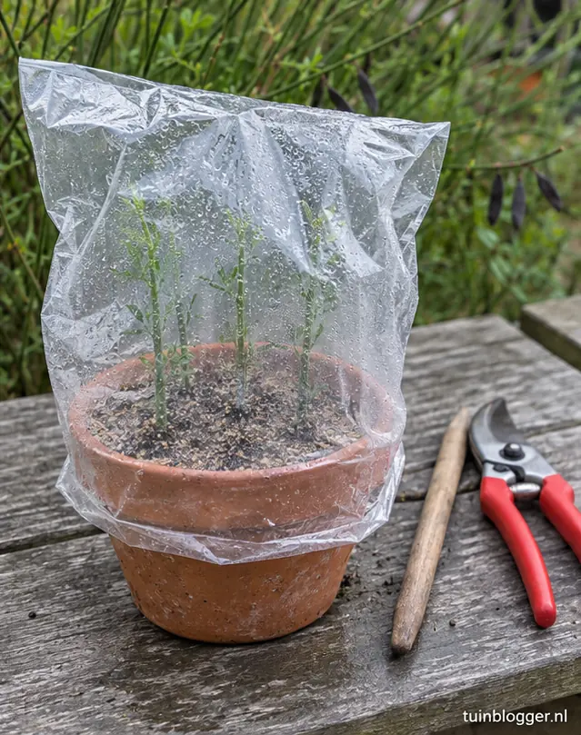 Pot met bremstekken onder een doorzichtige plastic zak