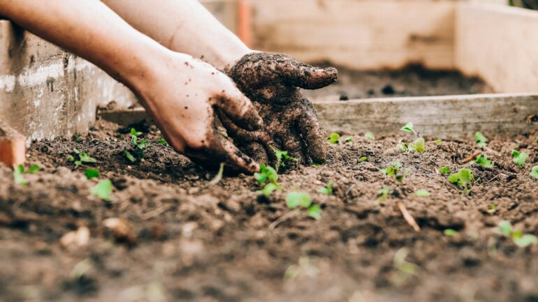 Grond voor je tuinproject: zo bereken je wat je nodig hebt en kies je de juiste soort